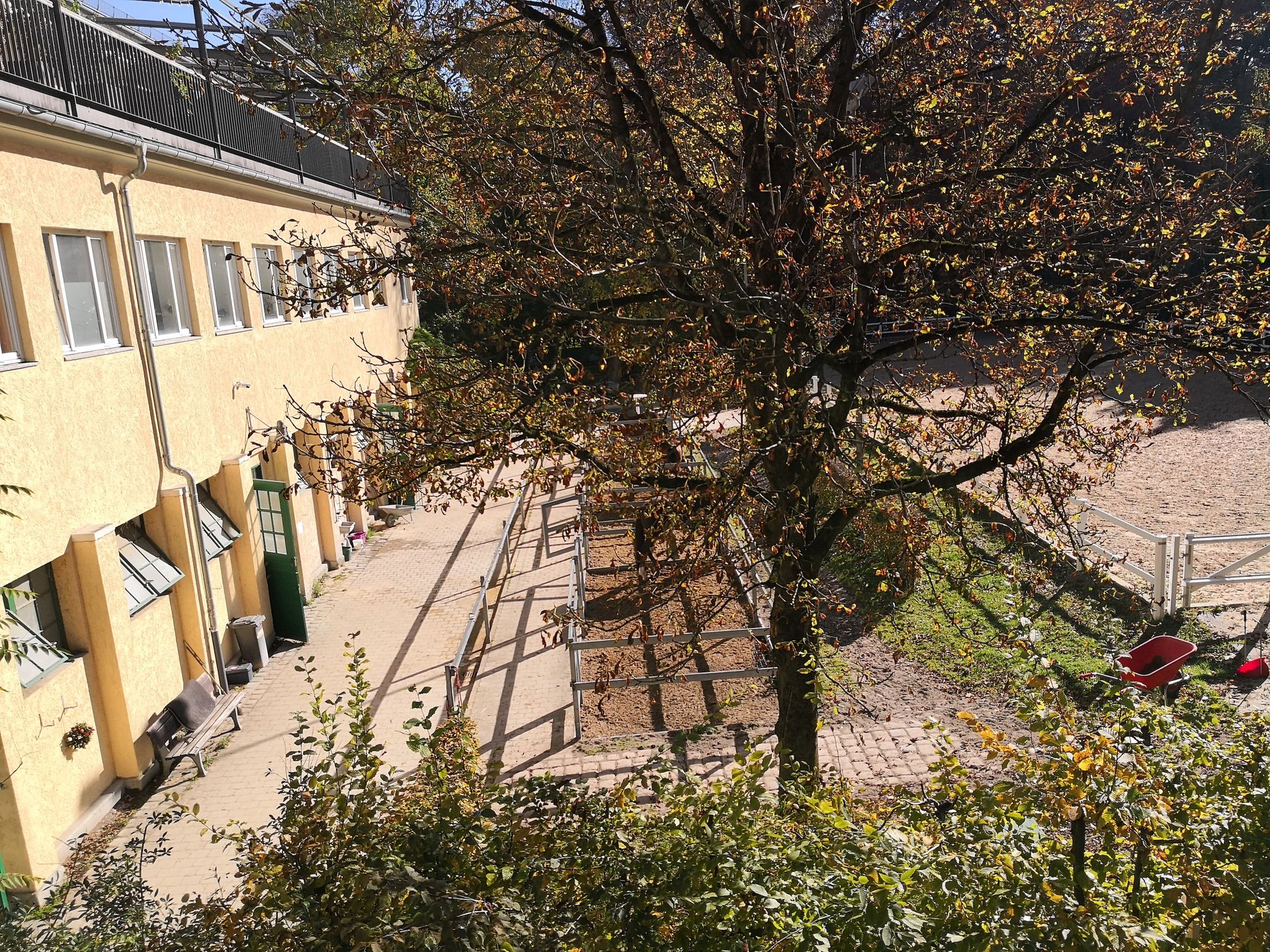 Huawei Mate 10 Pro - gdy serce przegrywa z głosem rozsądku [TEST] 47