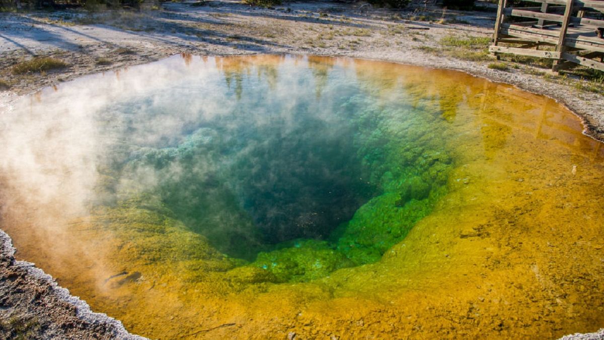 gejzer yellowstone