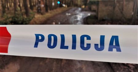 Niepokojące odkrycie w lesie. Służby wkroczyły do akcji