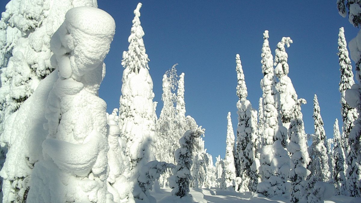 TUI odwołało wycieczkę do malowniczego Kuusamo 