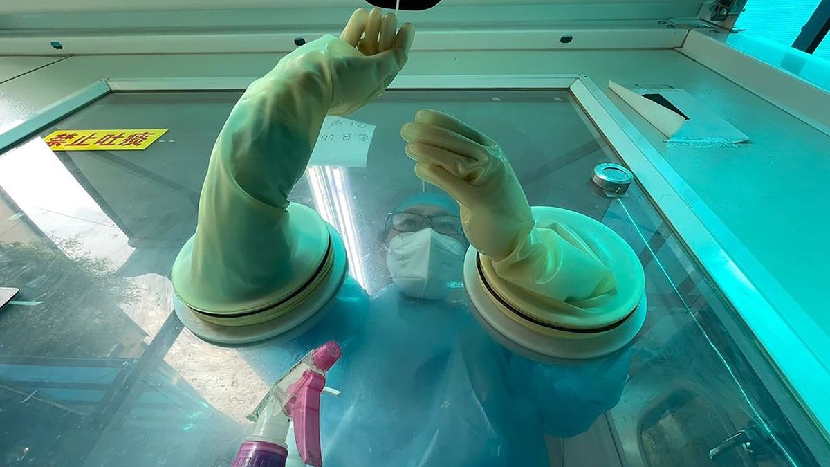 Francois robi zdjęcie za każdym razem, gdy jest na testach kowidowych.