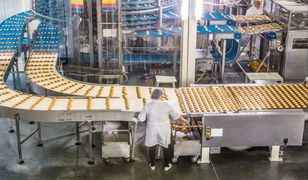 Zalewa nas żywność z Ukrainy? Sprawdziliśmy, czy to prawda