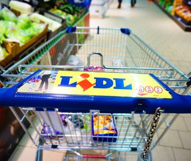 Lidl z nową ofertą. Aż 12 rodzajów testów. W tym test ciążowy