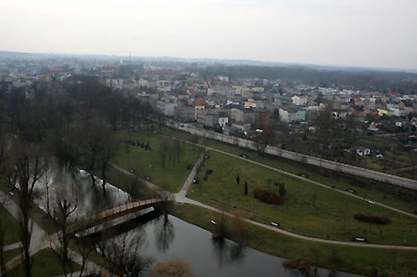 Obraz