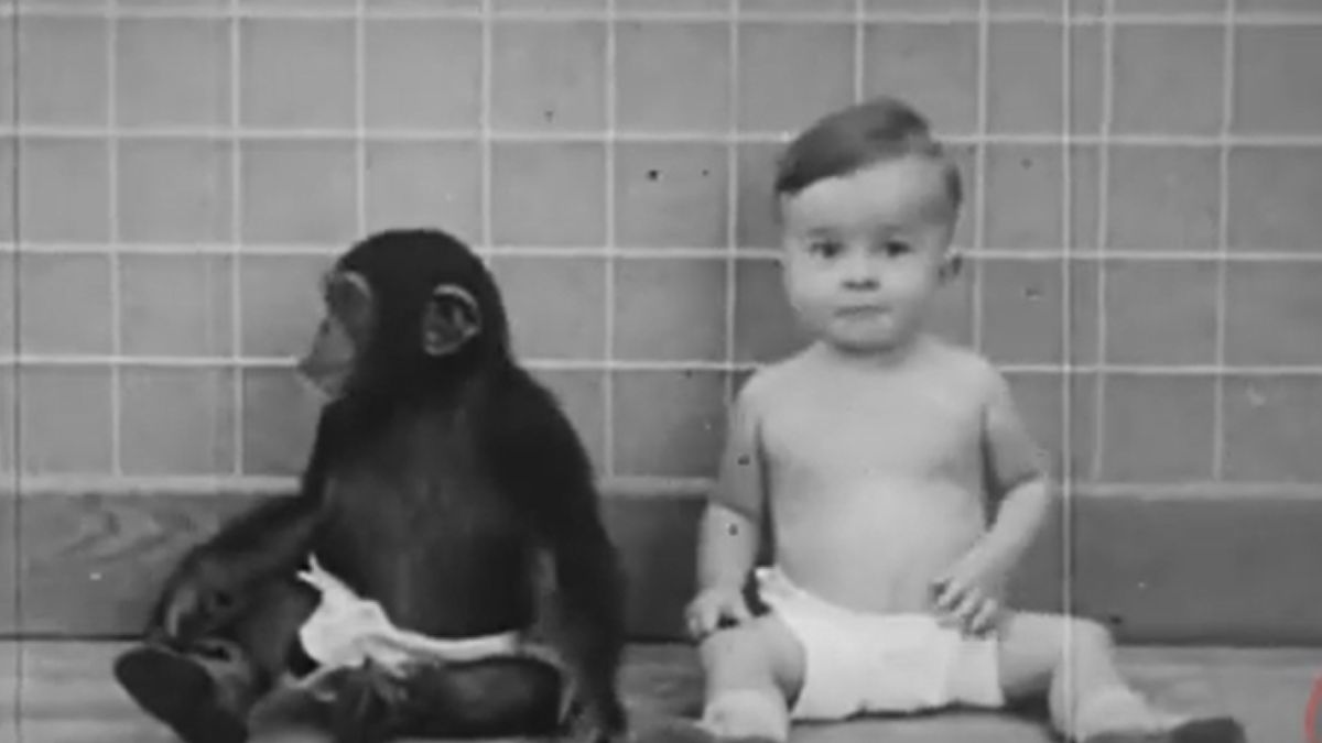 Gua i Donald — bohaterowie kontrowersyjnego eksperymentu