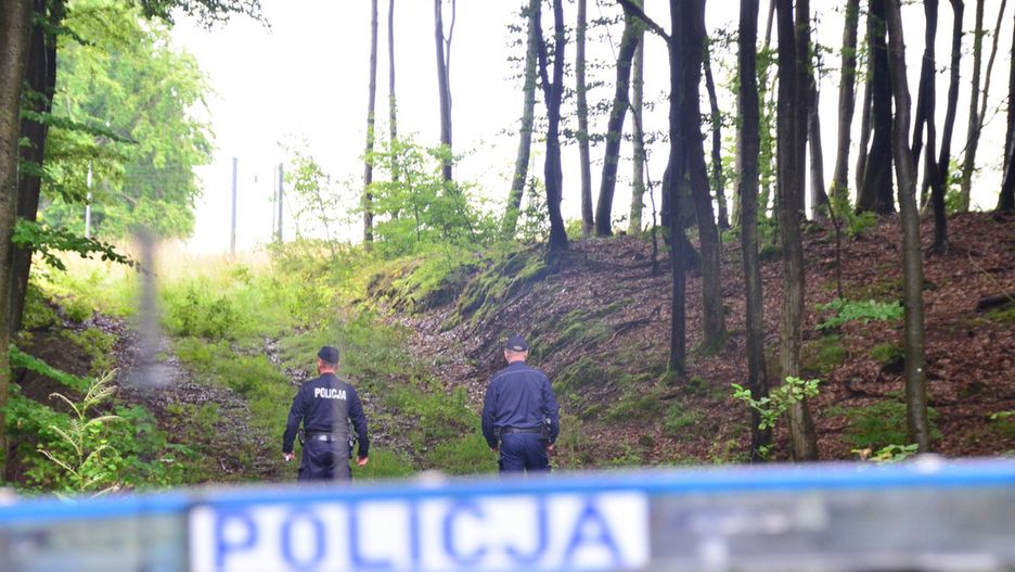 Drzewo przygniotło 12-letniego chłopca i jego dziadka
