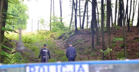 Horror w lesie. Drzewo przygniotło 12-letniego chłopca i jego dziadka