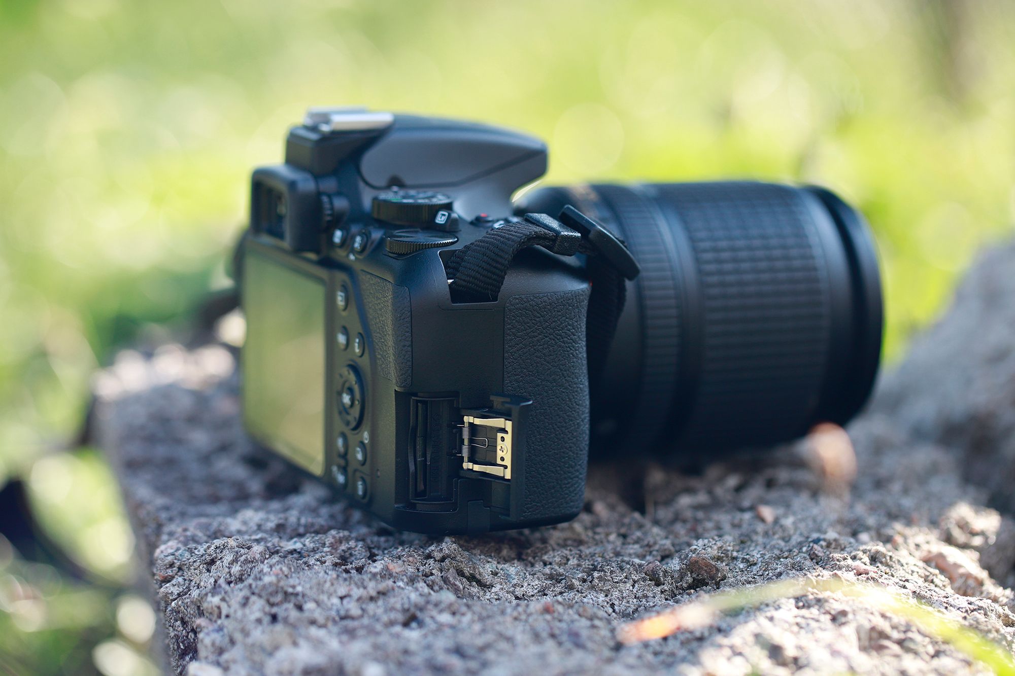 Nikon D3500 pomoże ci uchwycić najważniejsze momenty w życiu [test] 46