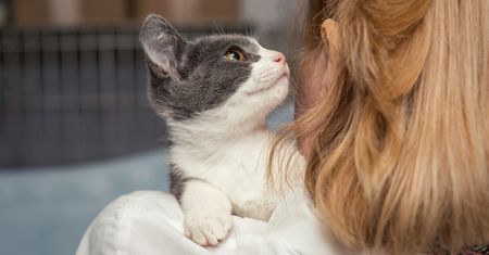 Weekend Adopcji Mars i TOZ – adopcja zwierzaka może zmienić dwa życia