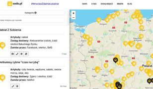 Wrocław. Mapa wsparcia lokalnego biznesu