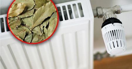 Połóż na kaloryferze przed snem. Szybko poczujesz efekt
