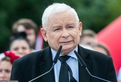 Niemieckie media piszą o Polsce. Jest wątek o grzybach