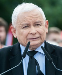 Niemieckie media piszą o Polsce. Jest wątek o grzybach