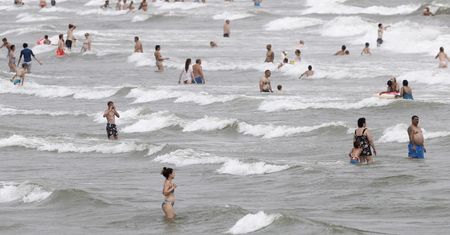 Toksyczne algi na hiszpańskich plażach. Mogą powodować problemy zdrowotne