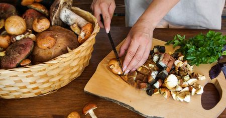 Eldorado polskich grzybiarzy. Ceny prawdziwków porażają