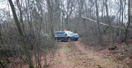 To znaleźli w lesie, szukając "skarbów"