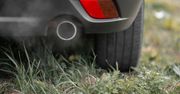 Łódź: Parkingowa samowolka trwa w najlepsze. Kierowcy rozjeżdżają trawniki, bo szkoda im kilku zł!