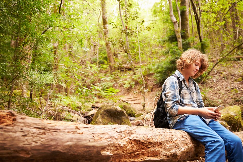 chłopak siedzący w lesie