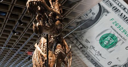 Miliony za szczątki dinozaura. Tyranozaur Gus z rekordową ceną