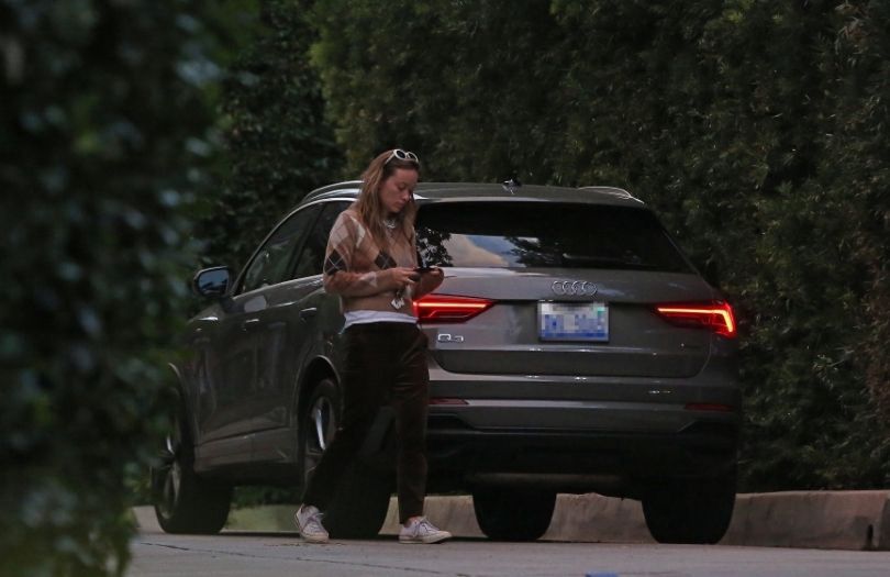 Harry Styles i Olivia Wilde przyłapani pod willą muzyka w Los Angeles