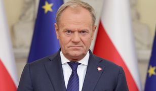 "Ani o krok". Kategoryczne słowa Tuska po wynikach
