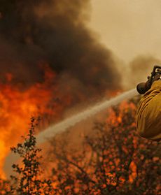 Trwa walka z pożarami w Kalifornii