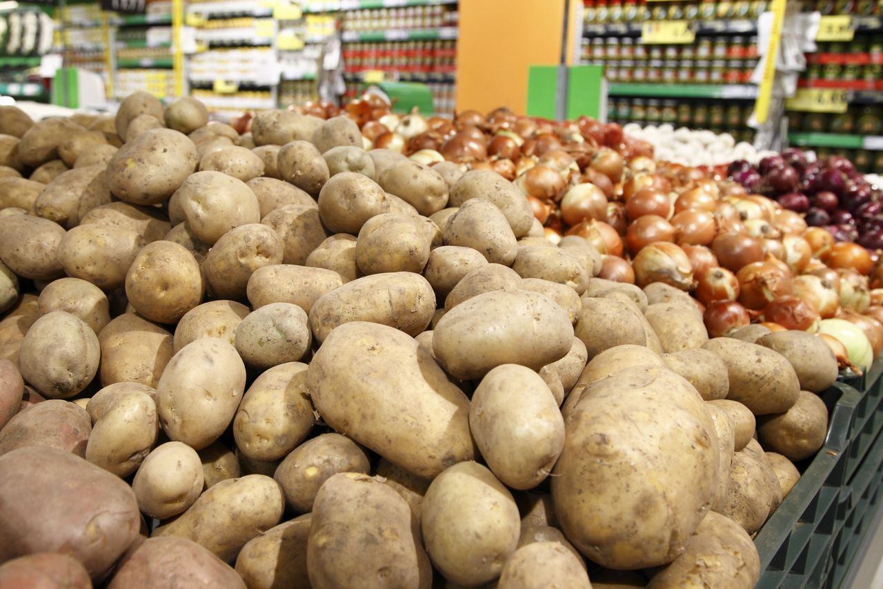 Cena ziemniaków bije rekordy. Tańsze nawet jabłka