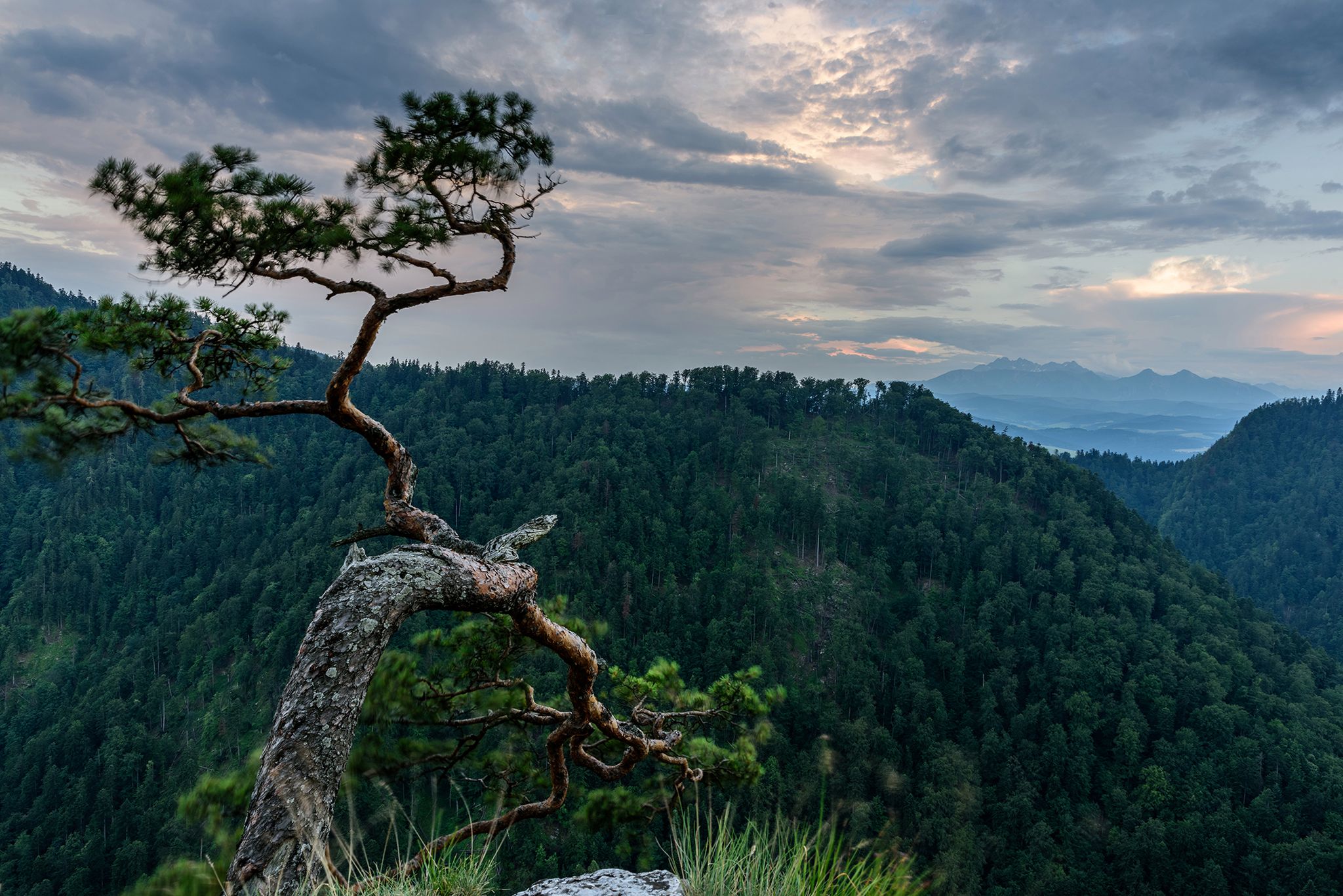 Tokina zaprasza na krajobrazowo-owczarskie warsztaty w Pieninach 5
