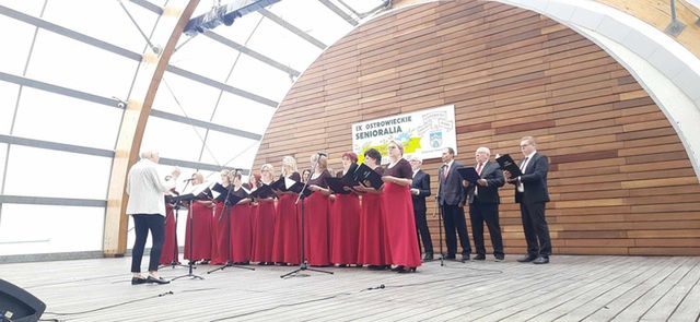Senioralia w Ostrowcu – Fotogaleria