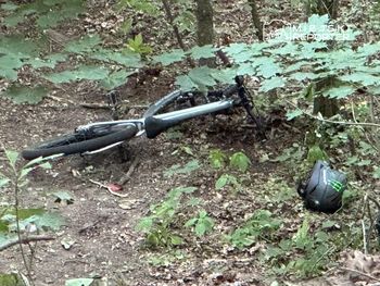 Poważny wypadek w Lasku Bielańskim. 17-latek wywrócił się zjeżdżając z górki. Jego stan jest krytyczny