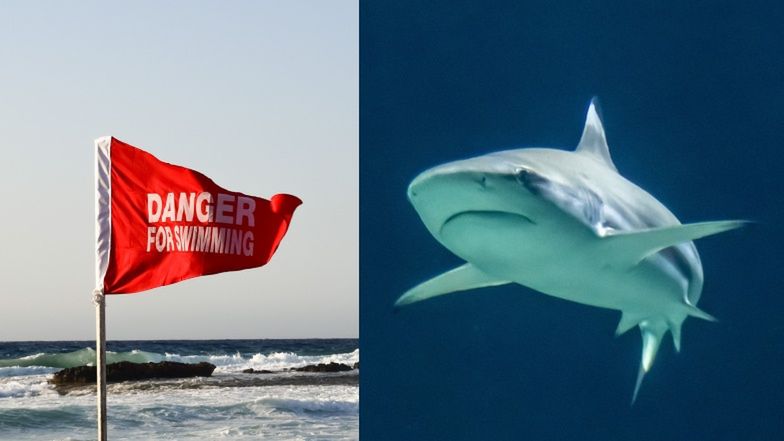 Z powodu rekinów zamknięto trzy plaże w Hiszpanii 