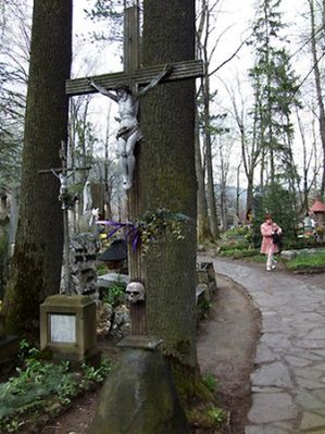 Obraz