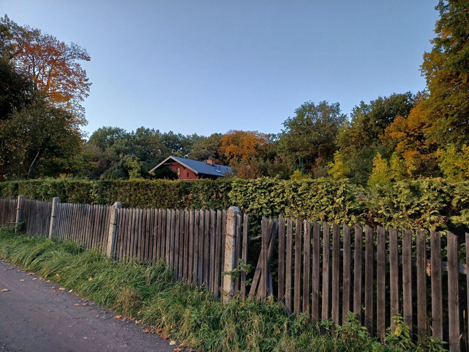 Miechowicka Ostoja Leśna w Bytomiu