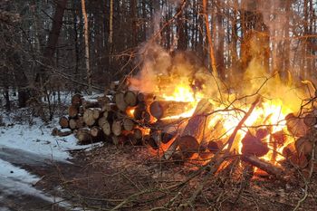 Pożar w lesie w środku zimy. Post nie zostawia złudzeń