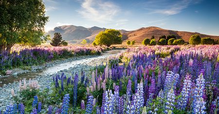 Znamy zwycięzców konkursu International Garden Photographer of the Year 2016