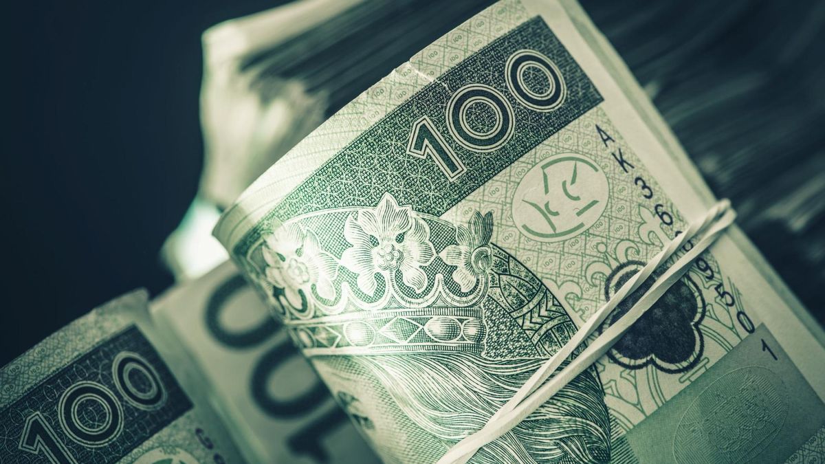 Dzięki kalkulatorowi ZUS można wyliczyć kwotę swojego świadczenia.