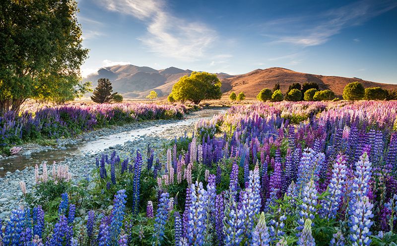 Znamy zwycięzców konkursu International Garden Photographer of the Year 2016 1
