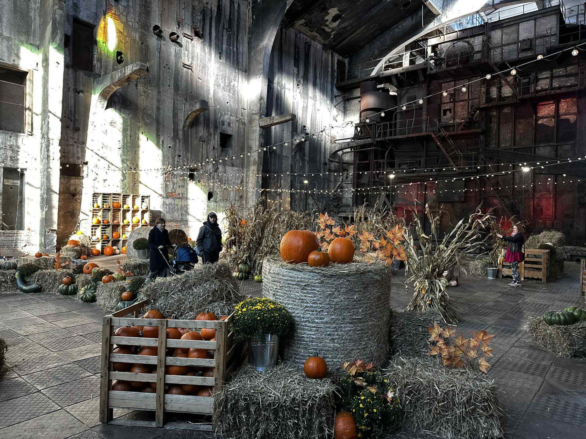 fuzja lodz, farma dyń, kotłownia