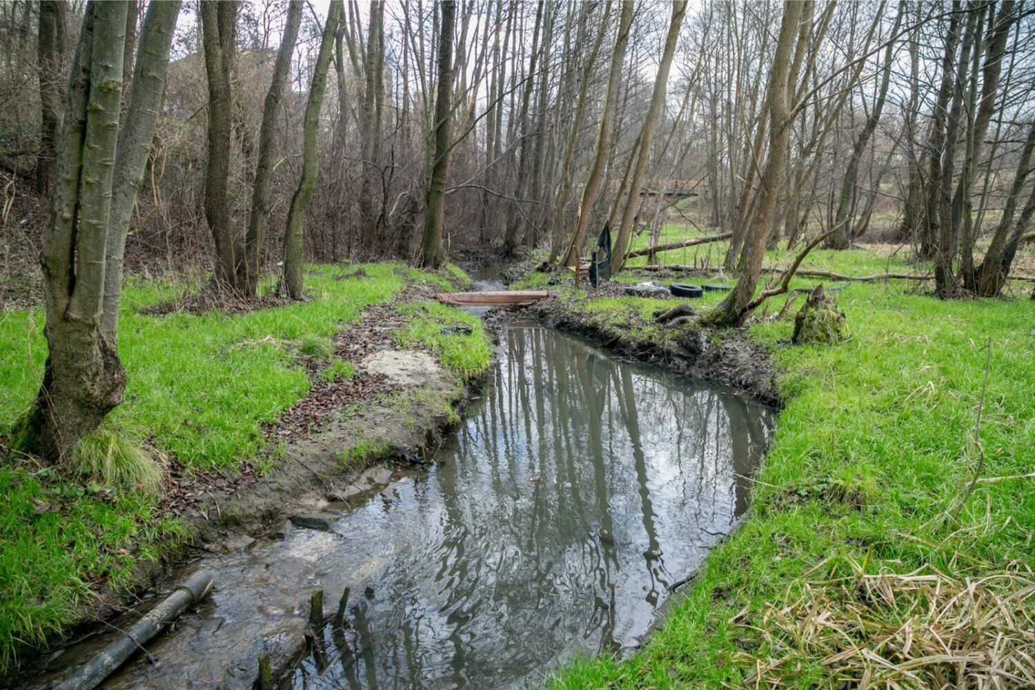 Tu znajdziesz najwięcej zieleni w Krakowie – TOP 20 parków