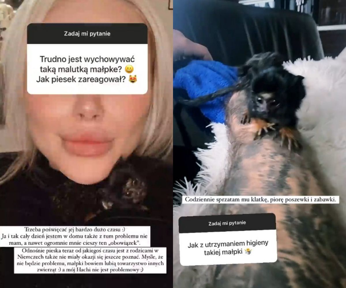 Ewel0na odpowiada na pytania fanów