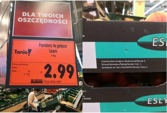 Pomidory miały być z Polski, ale z opakowań wynikało, że pochodzą z Niderlandów