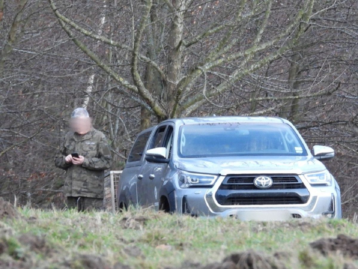 Szczątki dzików w Parku Krajobrazowym. Przyłapali leśnika na gorącym uczynku