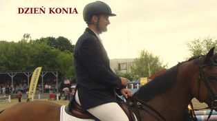 Pokaz koni remontowych - Dzień Konia