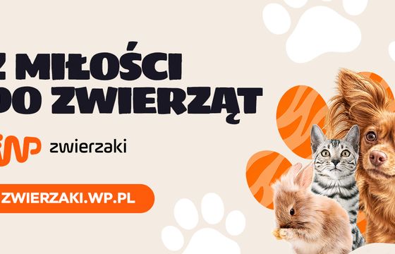 Wirtualna Polska rusza z nowym serwisem. WP zwierzaki stawia na porady i adopcje