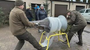 Radomsko: Nadleśnictwo zaprasza na choinkobranie