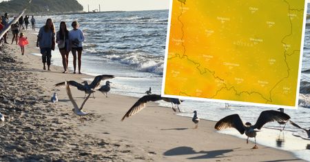 Powrót lata? Nowa prognoza zaskakuje