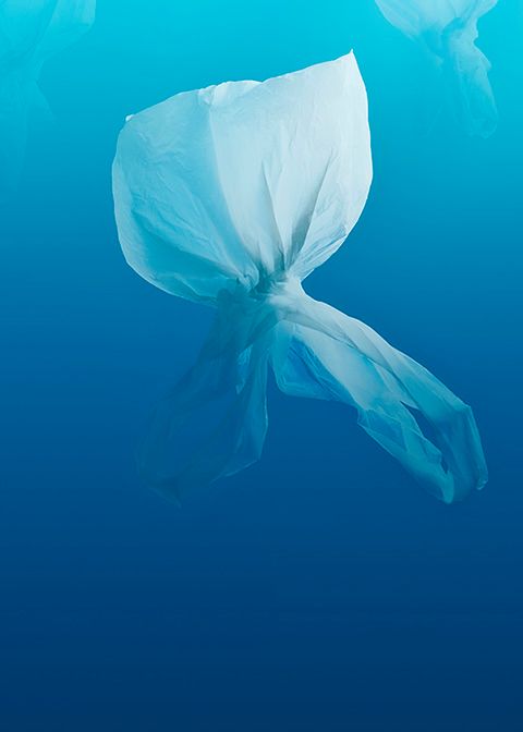 Ocean plastiku – gdyby śmieci zastąpiły ryby [inspiracje] 8