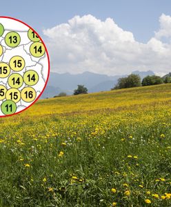 Prognoza pogody na majówkę 2025. Czy aura będzie sprzyjać wypoczynkowi i grillowaniu?