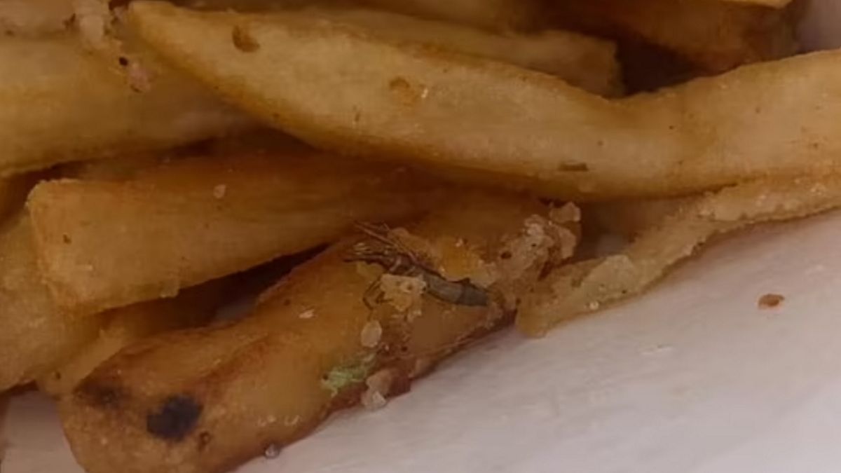 Klientka znalazła we frytkach owada