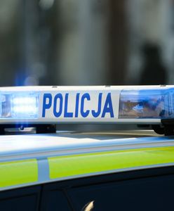 Dziecko pogryzione przez psa. Dramat w Łódzkiem